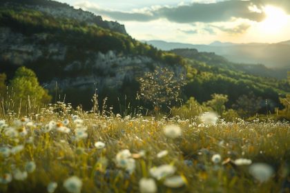 Se balader en montagne pour découvrir la flore